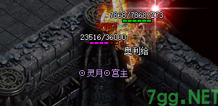 新开传奇